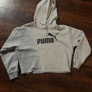 Puma Gray Hoodie